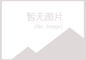 五大连池涟漪艺术有限公司